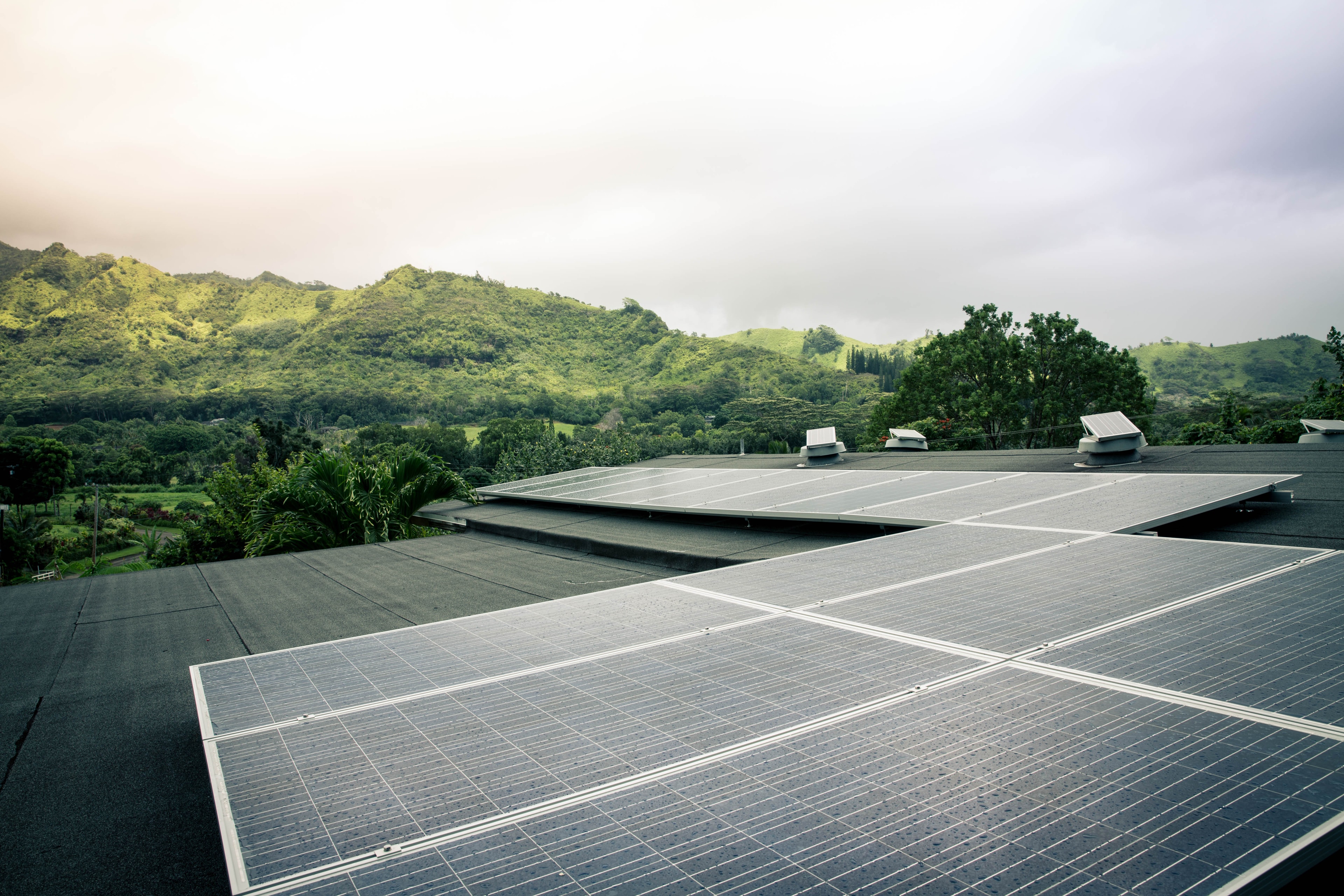 20-panel system, Kapahi, Kauai